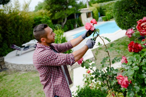 Professional garden landscaping for Westminster homes and courtyards