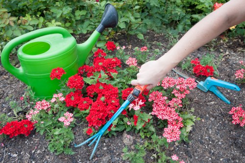 Person reviewing a landscaping complaint record