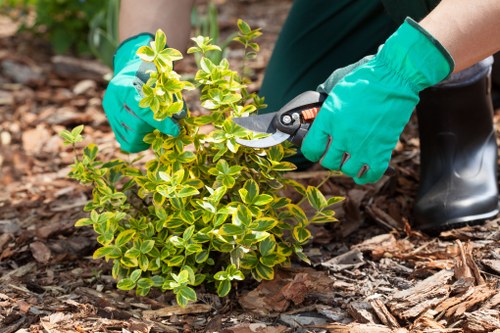 Professional garden drainage service for Westminster properties