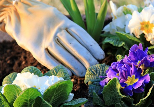 Free quote discussion for a Westminster landscaping service