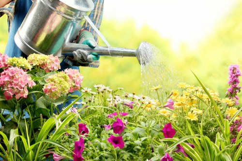 Accessibility request section for landscaping website users