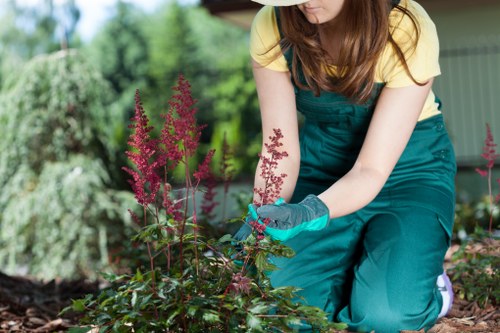 Thoughtful Westminster landscaping with seasonal planting
