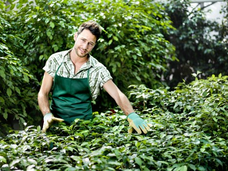 Close of complaint file for a landscaping service