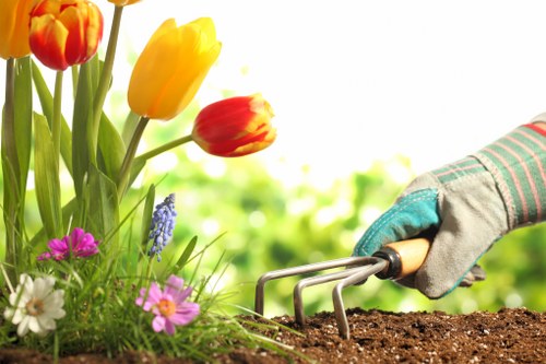 Modern slavery compliance check in landscaping supply chain