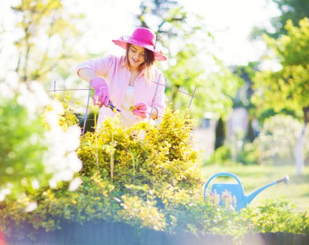 Planning and preparing a Westminster garden landscaping project