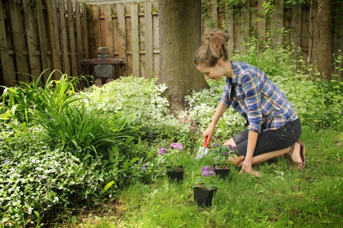 Low-maintenance paving and edging in Westminster